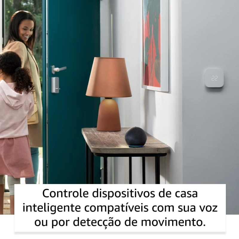 imagem principal
